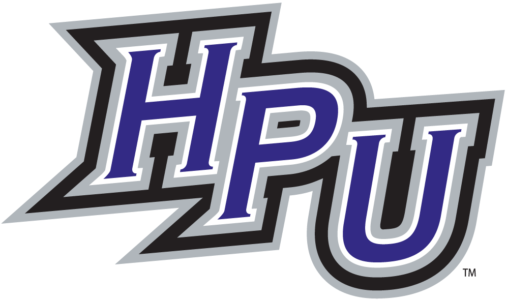 High Point Panthers 2004-Pres Alternate Logo v2 diy DTF decal sticker